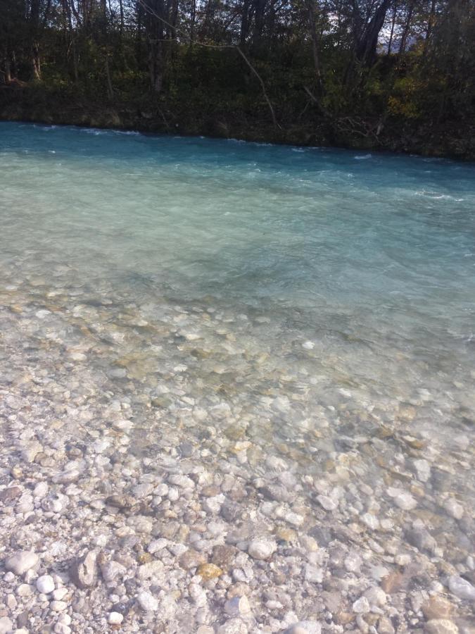 Catalina Lesce-Bled Daire Lesce  Dış mekan fotoğraf